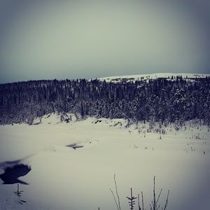 Meet your Posher, Seth